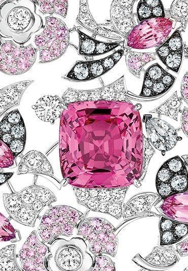 La féminité ultra précieuse de