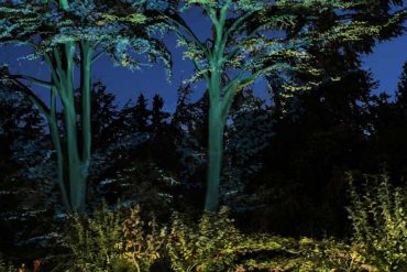 Le jardin du musée Albert Kahn