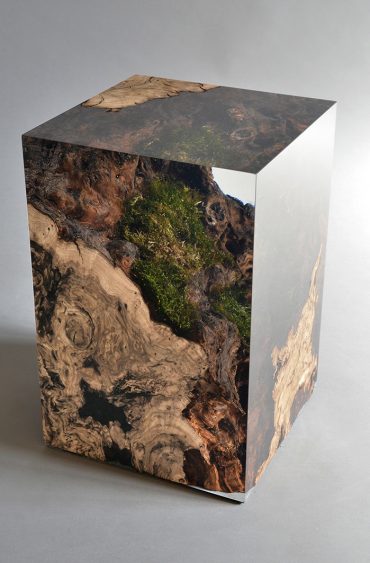 Le design inspiration nature
