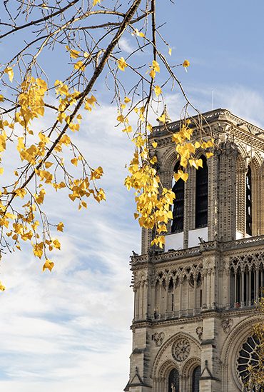 La nouvelle ère de Notre-Dame