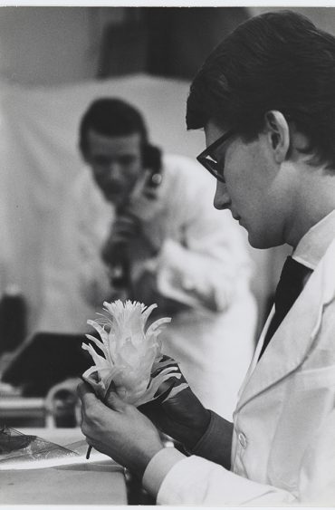 Musée Yves Saint Laurent : Les fleurs d’Yves Saint Laurent