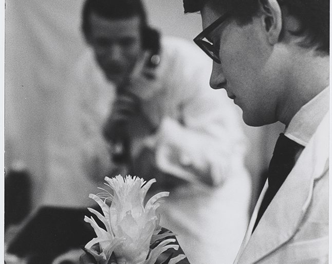 Musée Yves Saint Laurent : Les fleurs d’Yves Saint Laurent