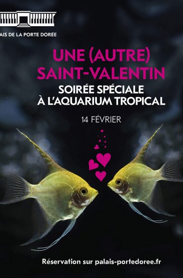 Pour passer une (autre) Saint-Valentin à l’Aquarium tropical