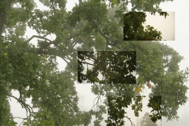 Galerie Marian Goodman : Eija-Liisa Ahtila. On Breathing
