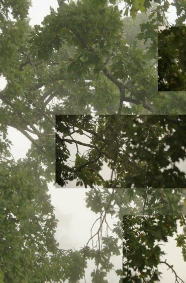 Galerie Marian Goodman : Eija-Liisa Ahtila. On Breathing