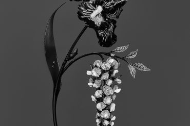 Les accords floraux de Boucheron