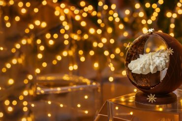 Les bûches des hôtels parisiens