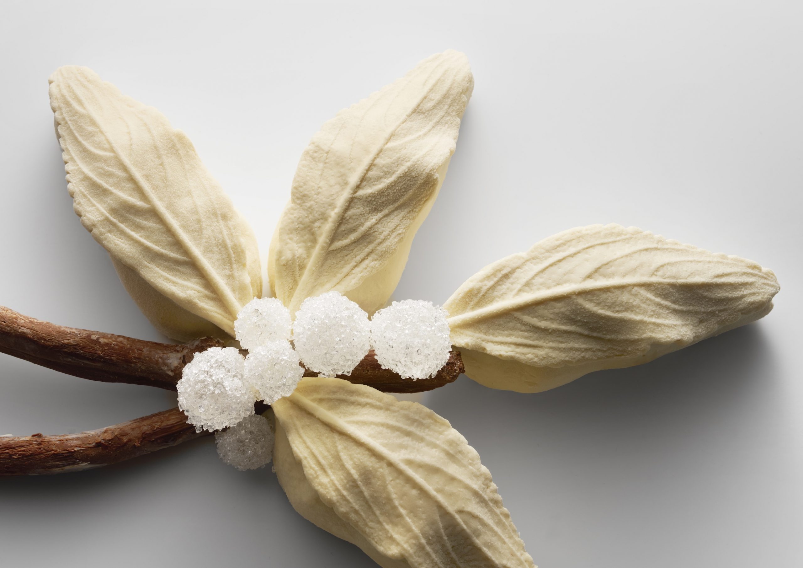 Buches park hyatt paris vendome