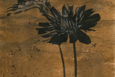 Galerie XII Sophie Zénon. Odyssée végétale