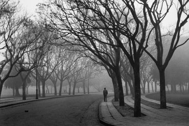 Galerie Rouge Le Modernisme brésilien. Gaspar Gasparian