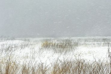 Gallerie Leica Catherine Henriette. Le Bruit de la neige