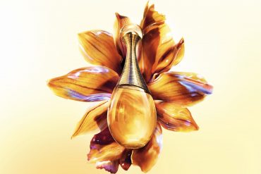 Une ode à la beauté des femmes