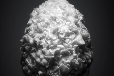 Un expo Eggxtraordinaire