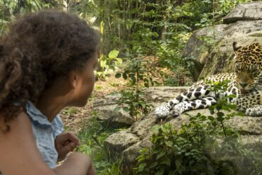 Jardin(s) d’enfants