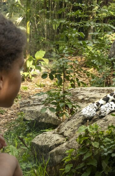 Jardin(s) d&rsquo;enfants