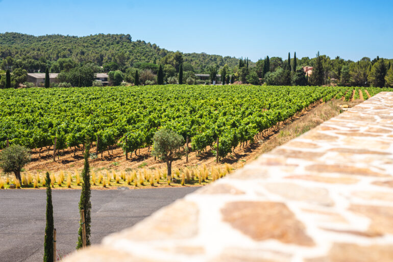 Château Sainte Marguerite, le rosé en majesté